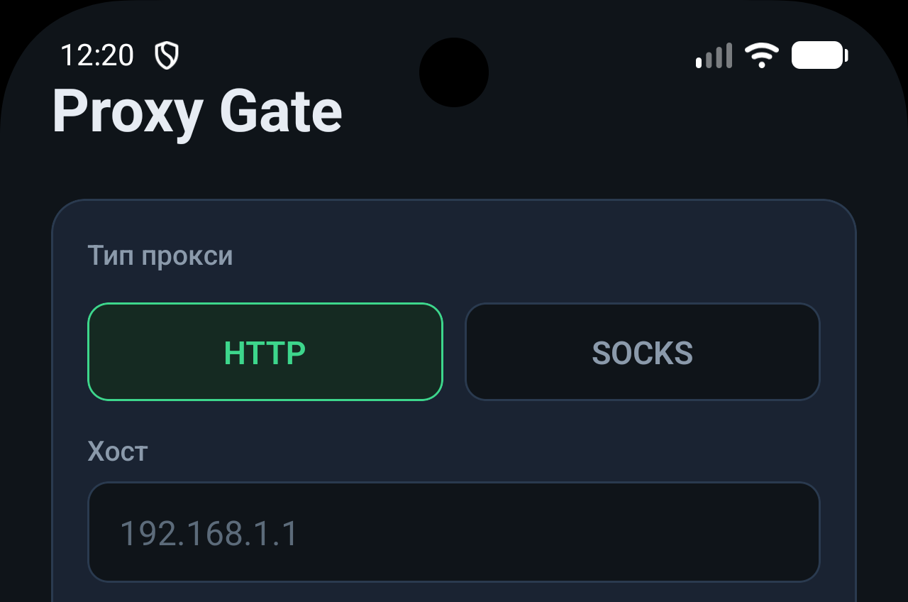Скоро в RuStore: Анонсируем выход Proxy Gate — клиента для безопасной работы с вашими прокси-серверами